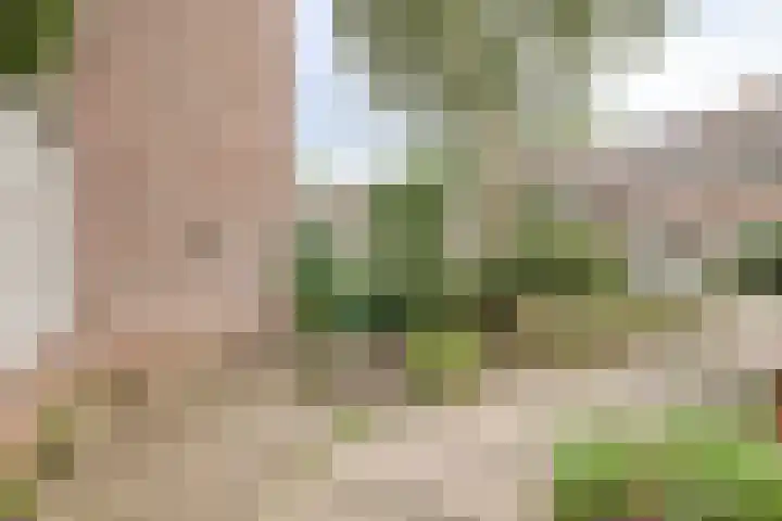 Opaal 9 Heerhugowaard thumbnail 11