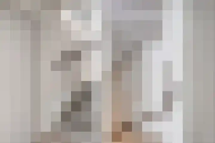 Opaal 9 Heerhugowaard thumbnail 27