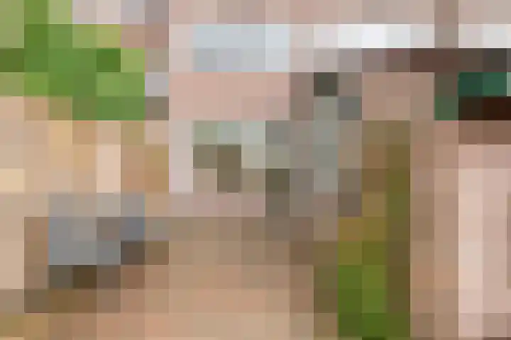 Opaal 9 Heerhugowaard thumbnail 41