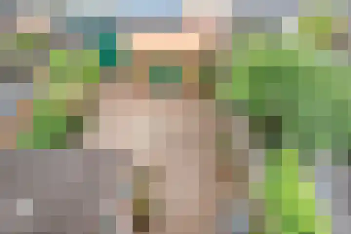 Opaal 9 Heerhugowaard thumbnail 44