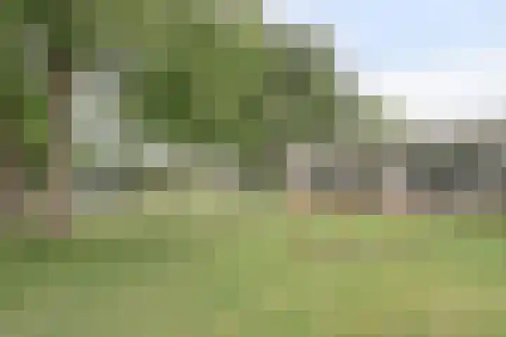 Opaal 9 Heerhugowaard thumbnail 46