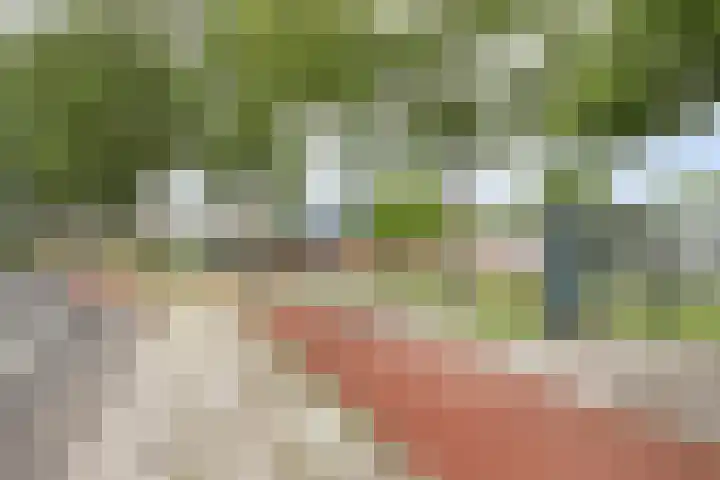 Opaal 9 Heerhugowaard thumbnail 47