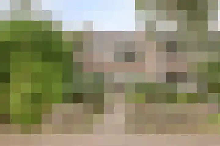 Opaal 9 Heerhugowaard thumbnail 48
