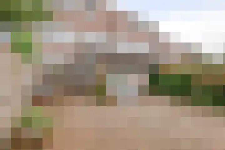 Opaal 9 Heerhugowaard thumbnail 6