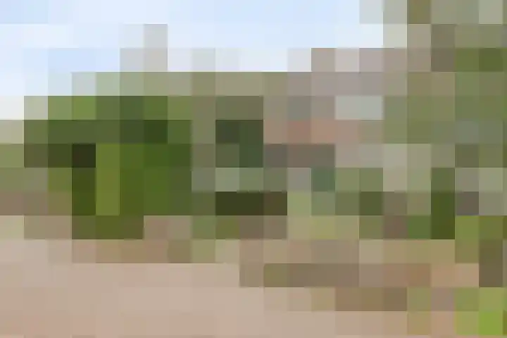 Opaal 9 Heerhugowaard thumbnail 7