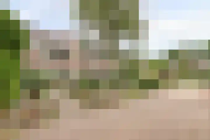 Opaal 9 Heerhugowaard thumbnail 8