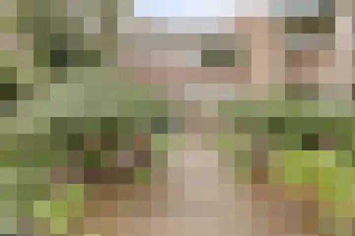 Opaal 9 Heerhugowaard thumbnail 9