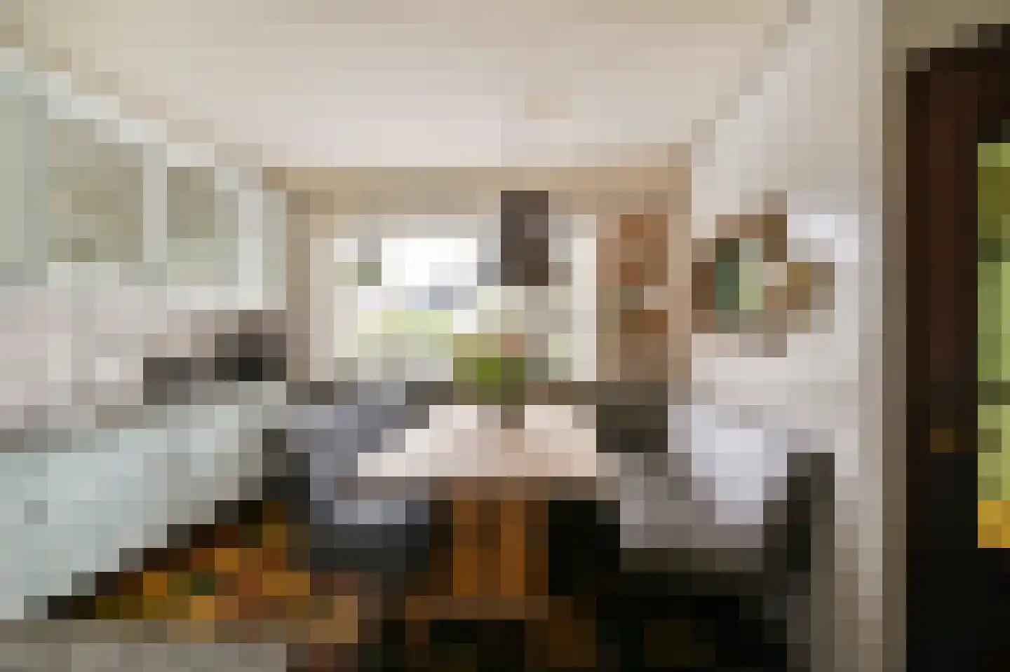 Opaal 9 Mijdrecht thumbnail 15
