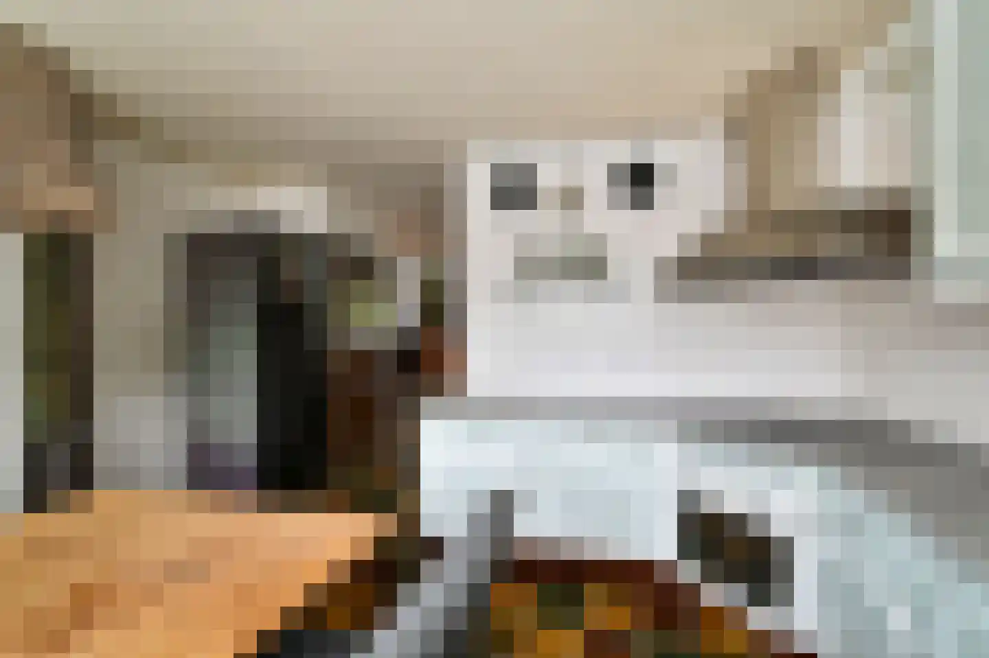 Opaal 9 Mijdrecht thumbnail 17