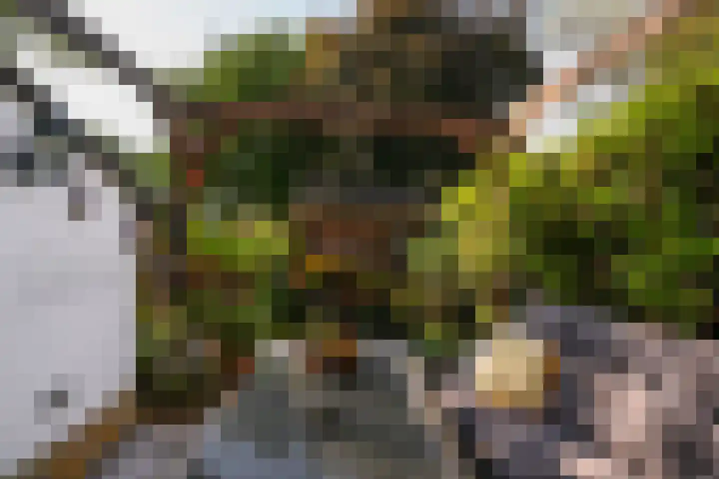 Opaal 9 Mijdrecht thumbnail 36