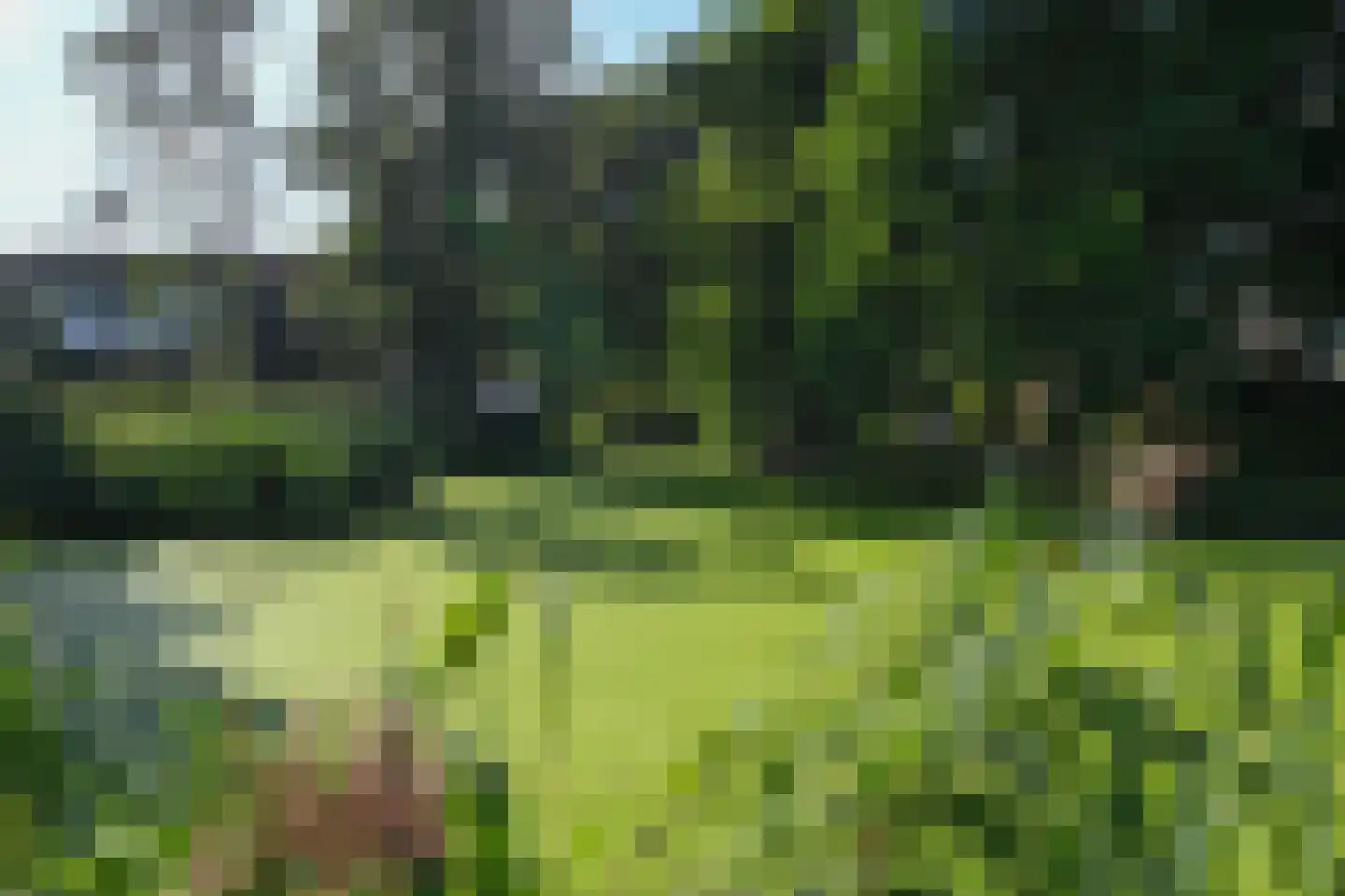 Opaal 9 Mijdrecht thumbnail 40