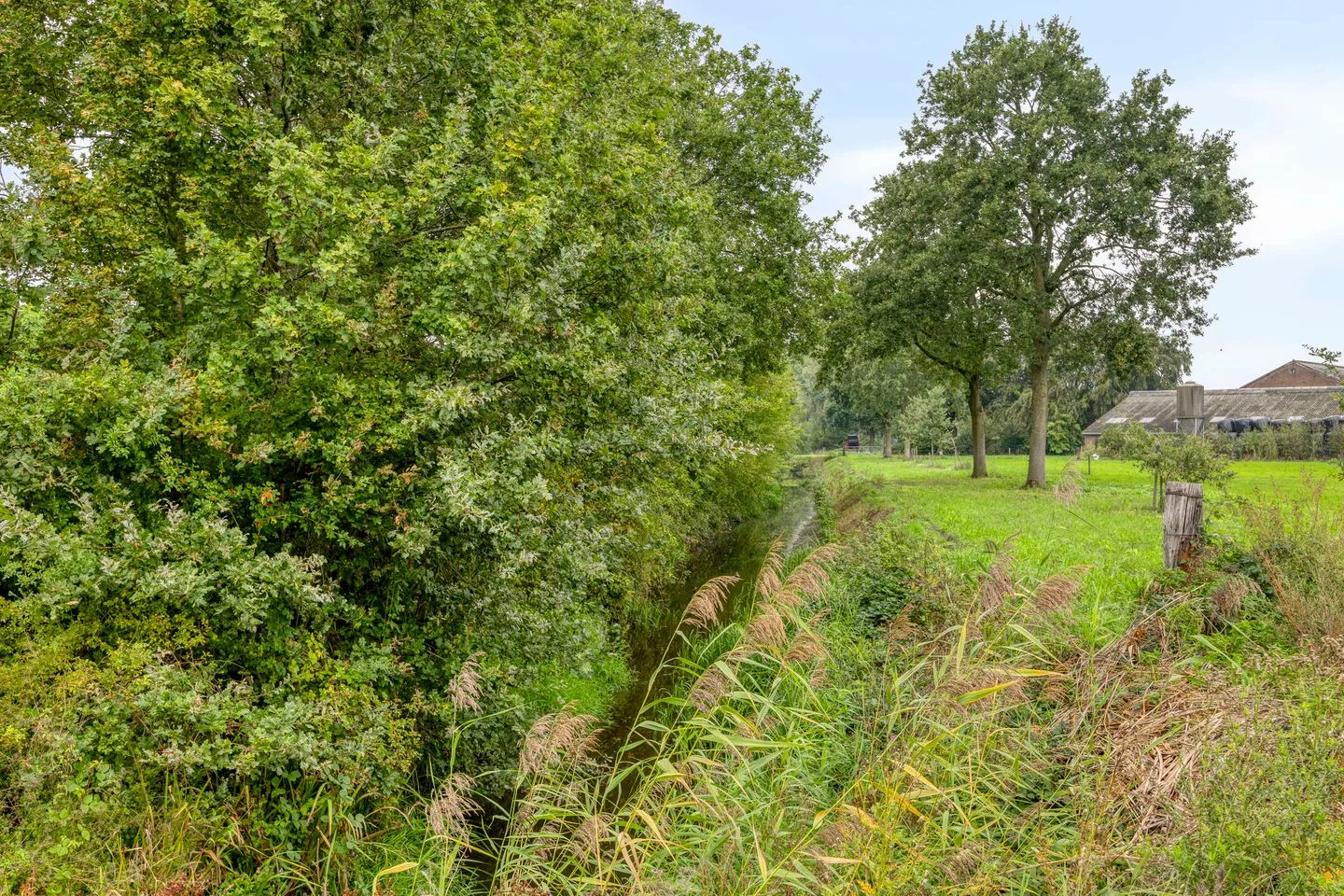 Opaaldijk 35 Roosendaal thumbnail 62
