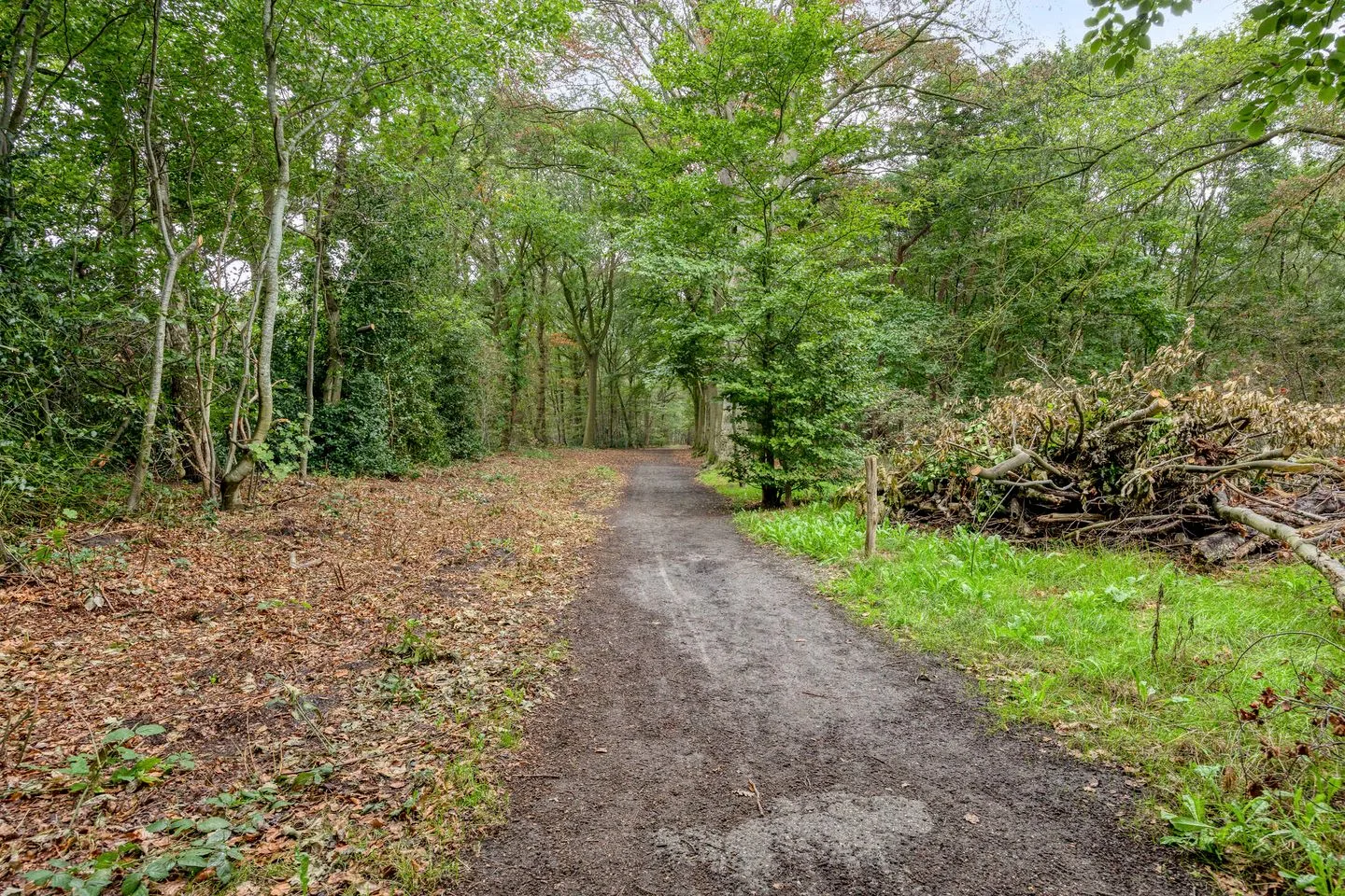 Opaaldijk 35 Roosendaal thumbnail 65