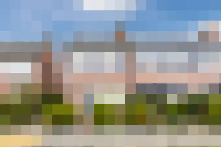 Opaaldijk 56 Roosendaal thumbnail 6