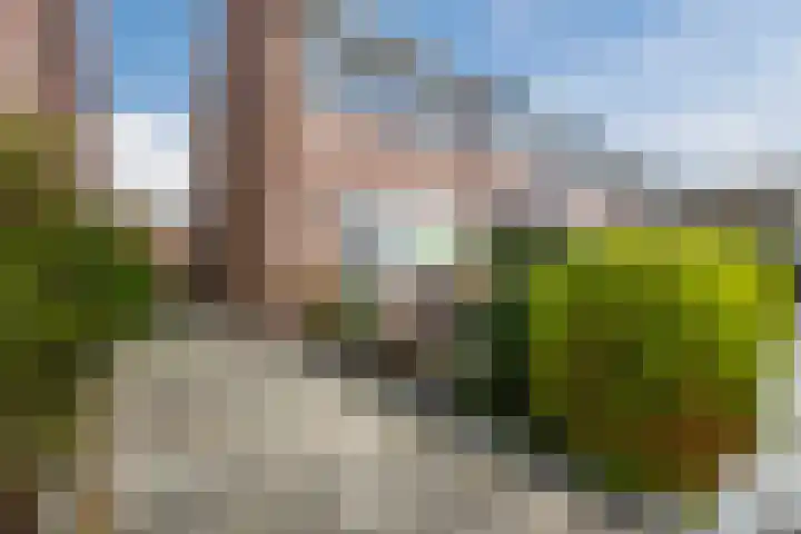 Opaaldijk 56 Roosendaal thumbnail 9