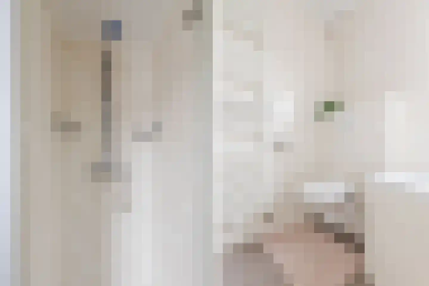 Opaaldreef 18 Cuijk thumbnail 20