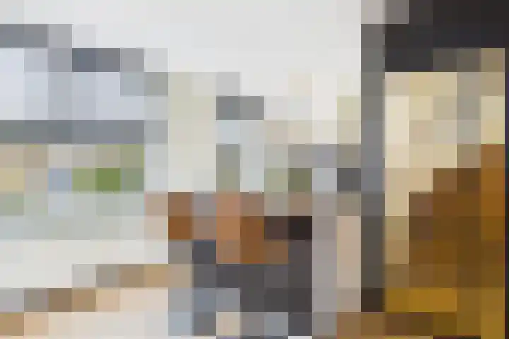 Opaaldreef 4 Terneuzen thumbnail 14