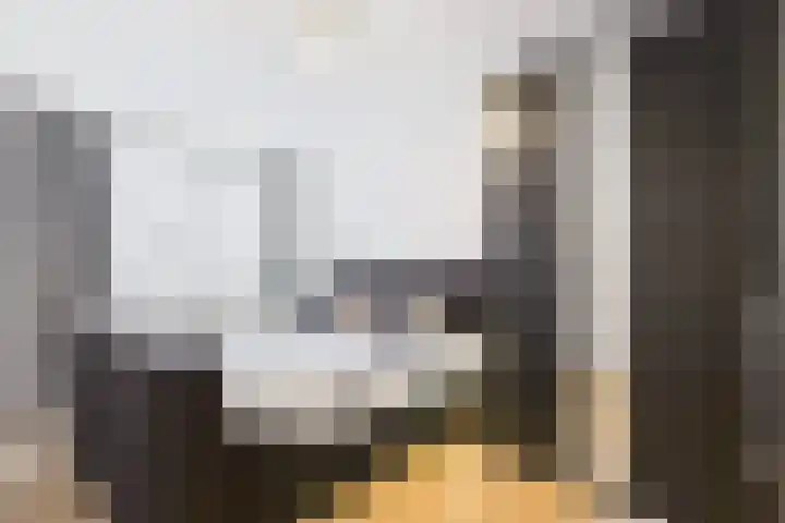 Opaaldreef 4 Terneuzen thumbnail 16