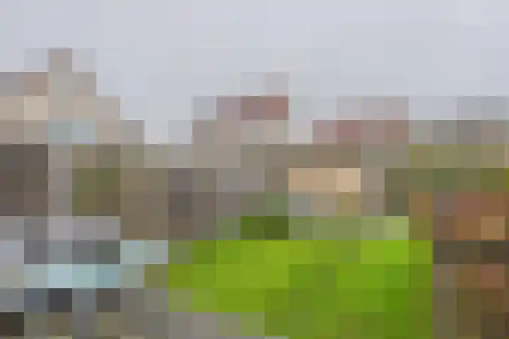 Opaaldreef 4 Terneuzen thumbnail 4