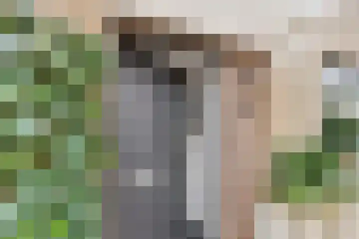 Opaaldreef 4 Terneuzen thumbnail 6