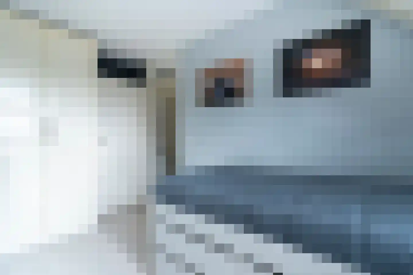 Opaaldrift 13 Nieuwegein thumbnail 21