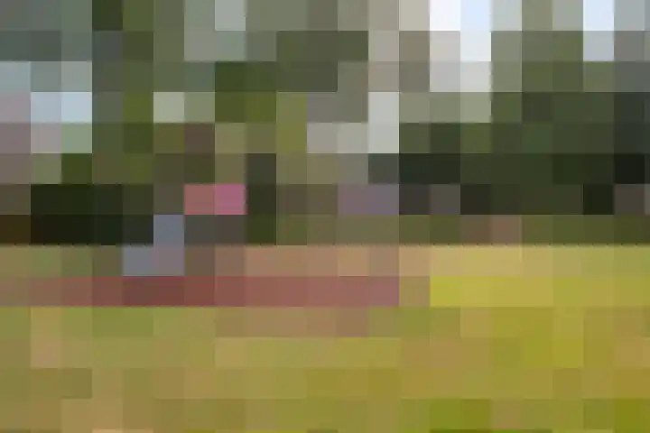 Opaaldrift 29 Nieuwegein thumbnail 30