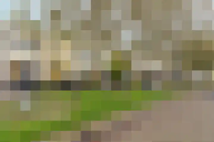 Opaalhof 1 Almere thumbnail 5