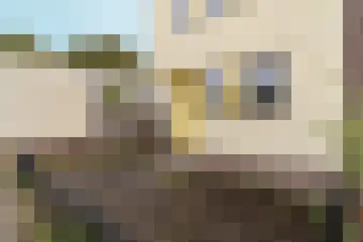 Opaalhof 1 Almere thumbnail 8