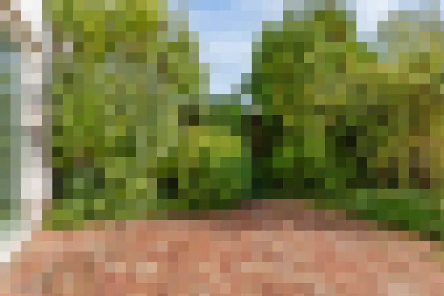 Opaalhof 15 Almere thumbnail 33