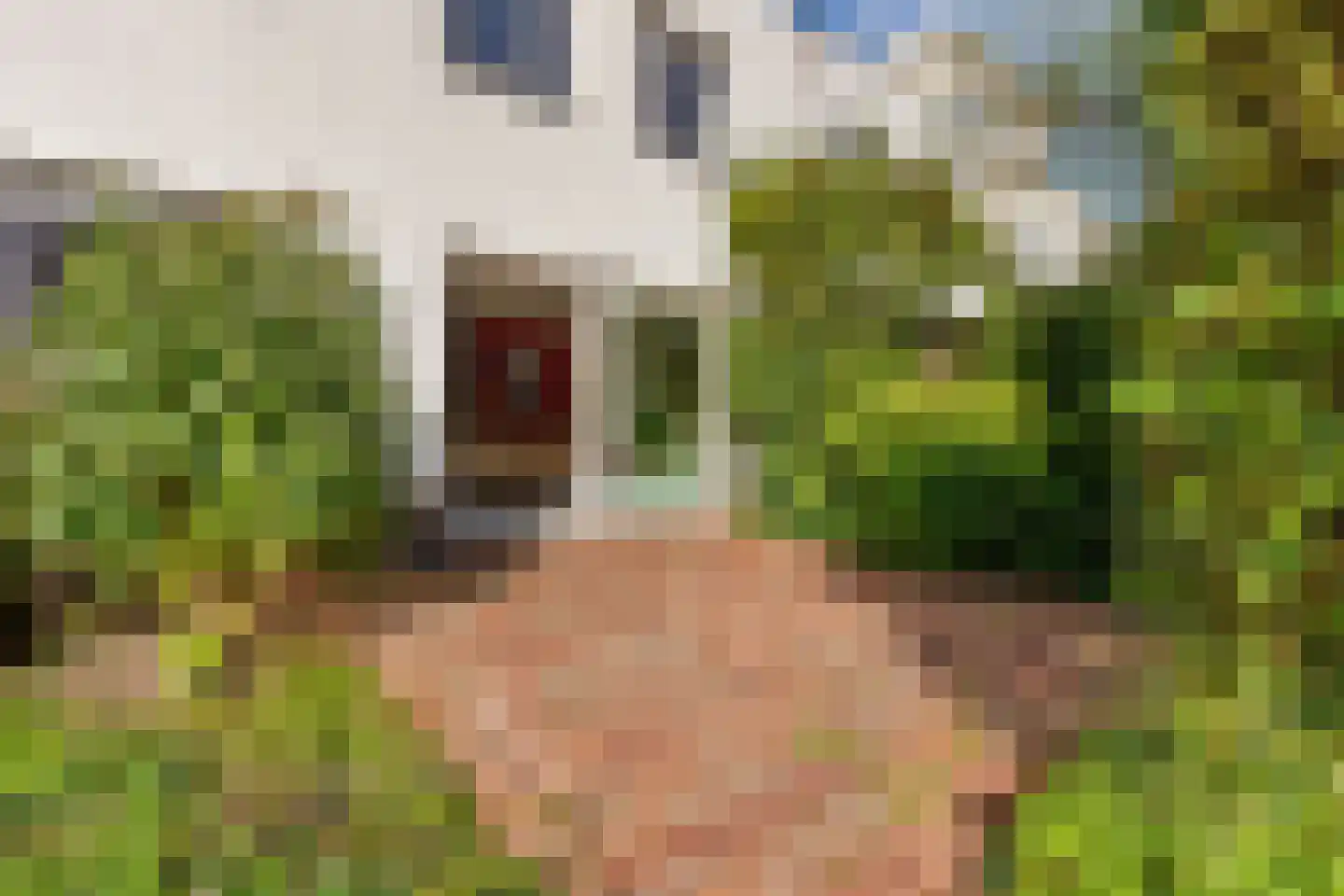 Opaalhof 15 Almere thumbnail 35