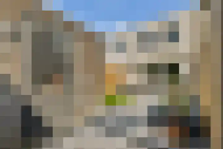 Opaalhof 25 Almere thumbnail 15