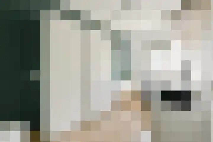 Opaalhof 25 Almere thumbnail 20