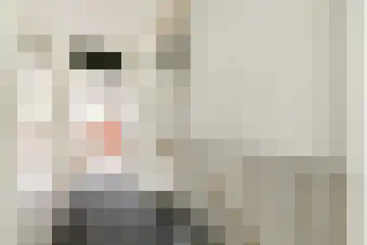 Opaalhof 25 Almere thumbnail 29
