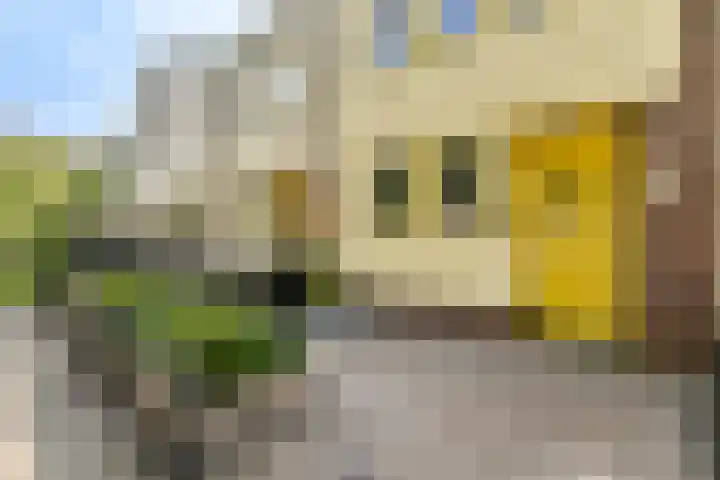 Opaalhof 25 Almere thumbnail 30