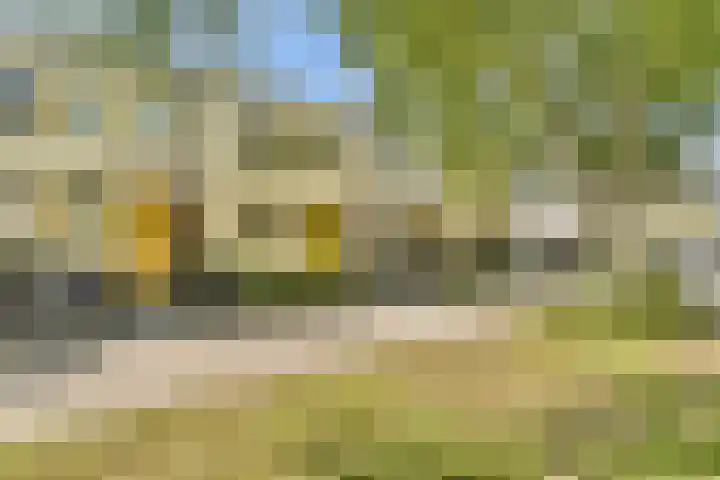 Opaalhof 25 Almere thumbnail 31