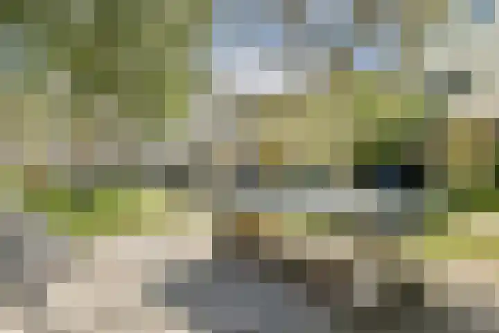 Opaalhof 25 Almere thumbnail 32