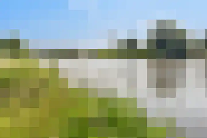 Opaalhof 25 Almere thumbnail 34