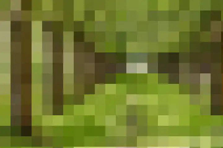 Opaalhof 25 Almere thumbnail 36