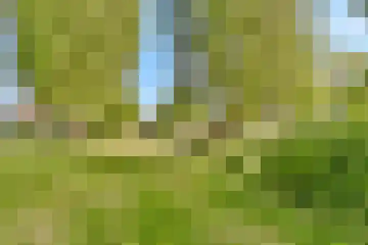 Opaalhof 25 Almere thumbnail 37