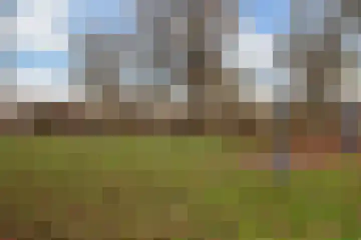 Opaalhof 5 IJsselstein thumbnail 36