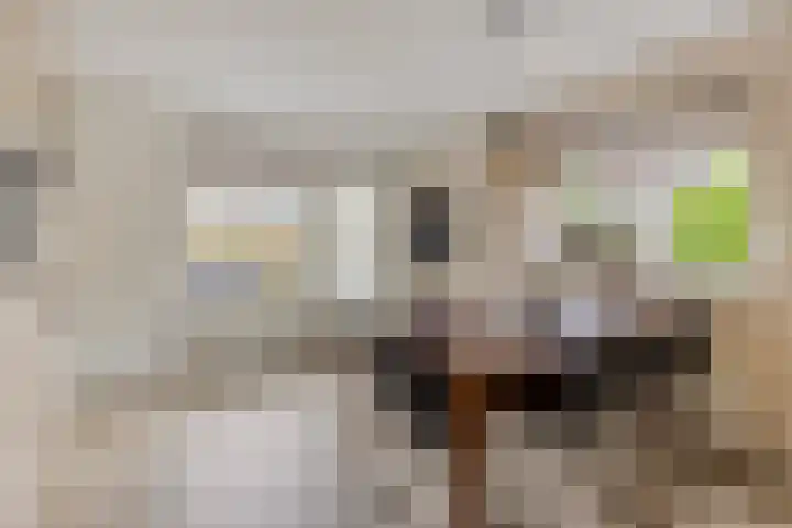 Opaalstoep 23 Assen thumbnail 13