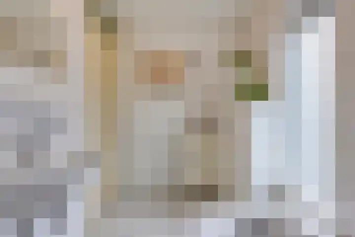 Opaalstoep 23 Assen thumbnail 20