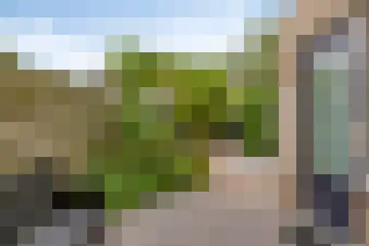 Opaalstoep 23 Assen thumbnail 26