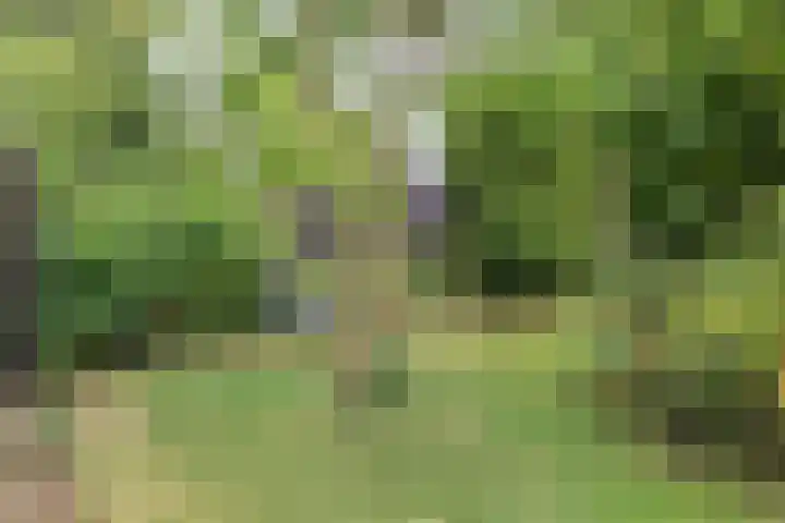 Opaalstoep 23 Assen thumbnail 30