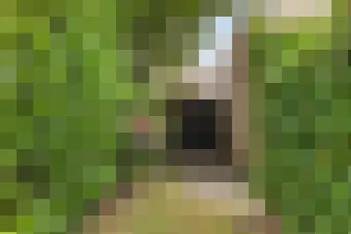 Opaalstoep 23 Assen thumbnail 31