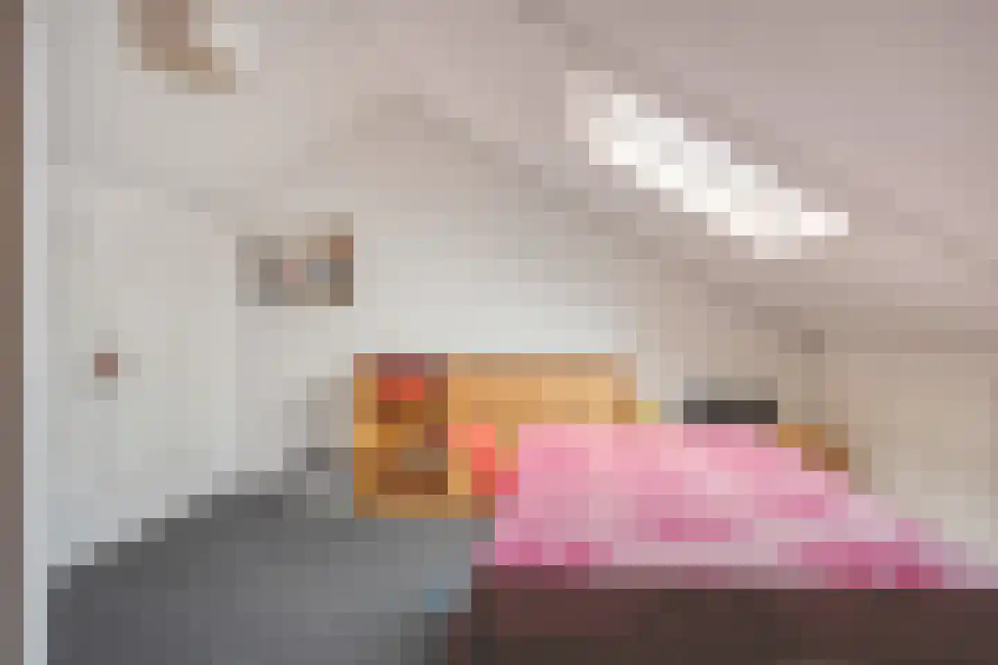Opaalstoep 29 Assen thumbnail 33