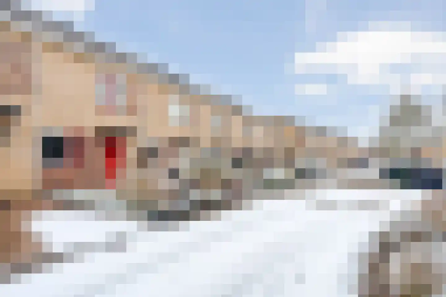 Opaalstoep 29 Assen thumbnail 42
