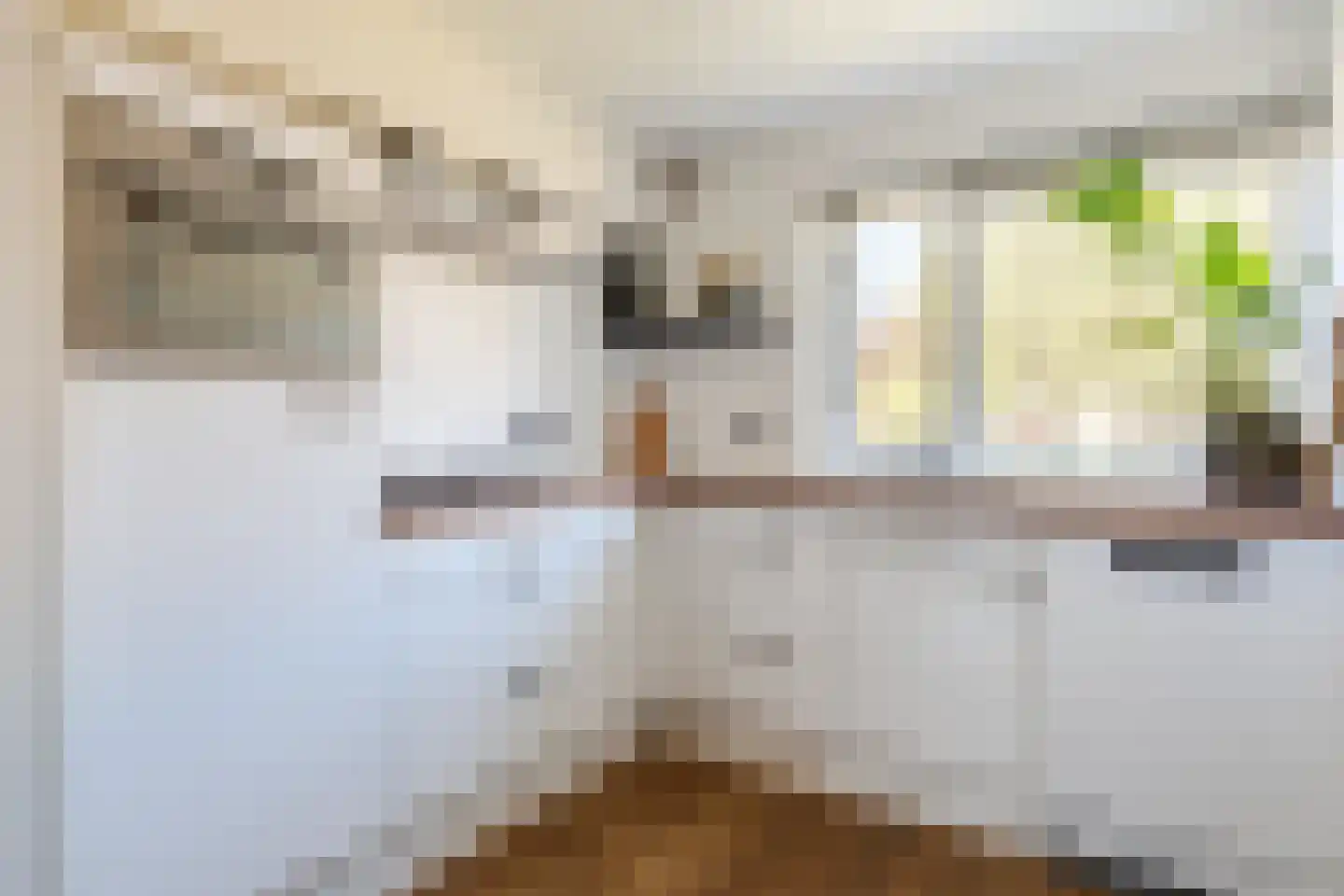 Opaalstoep 37 Assen thumbnail 20