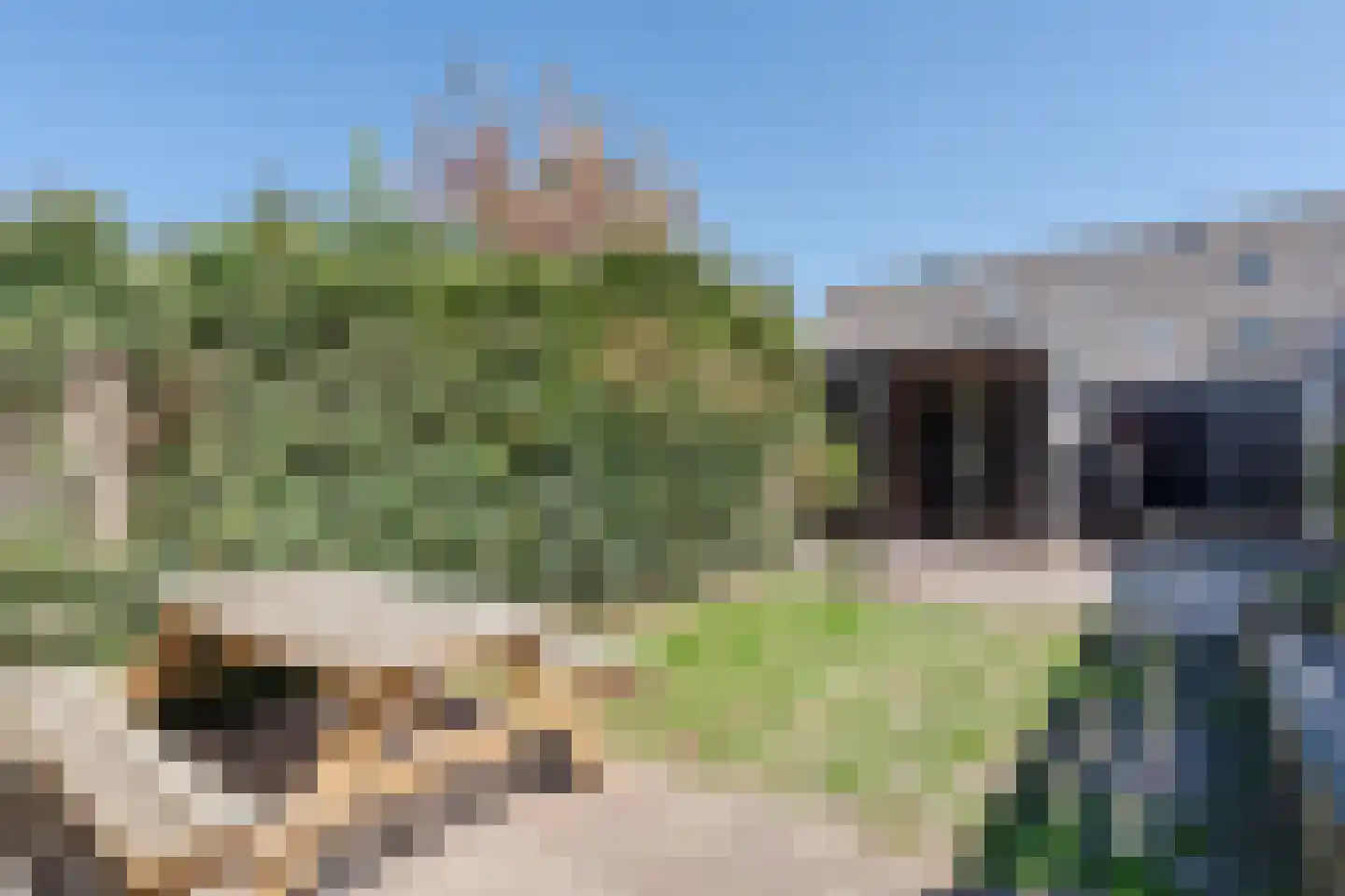Opaalstoep 37 Assen thumbnail 45