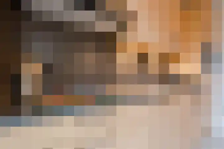Opaalstoep 73 Assen thumbnail 12